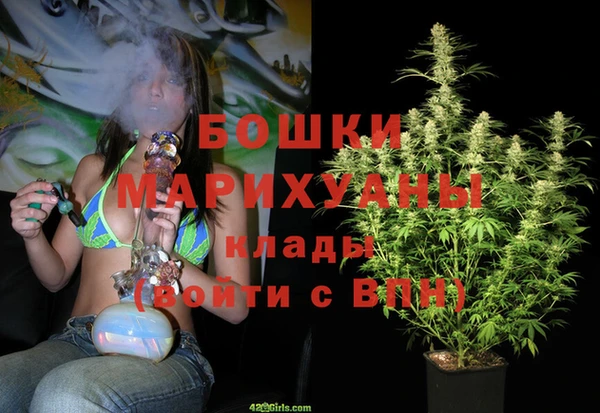 амф Бородино