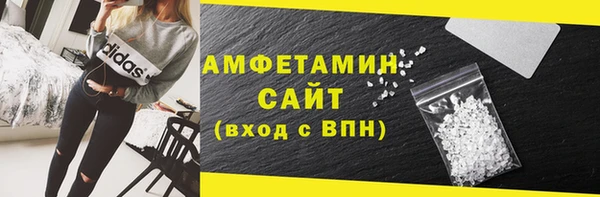 амф Бородино
