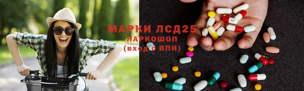 бошки Бронницы
