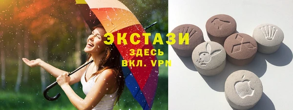 амф Бородино