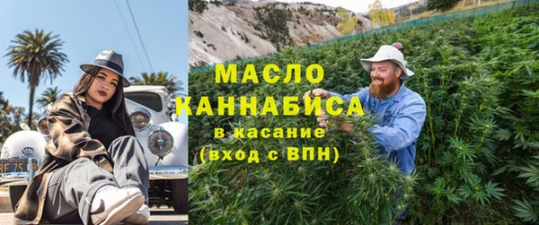 амф Бородино