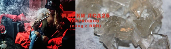 амф Бородино