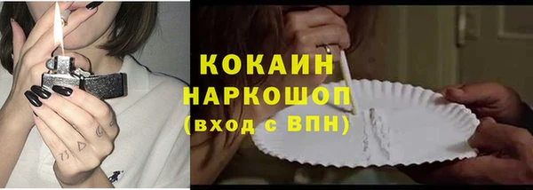 бошки Бронницы