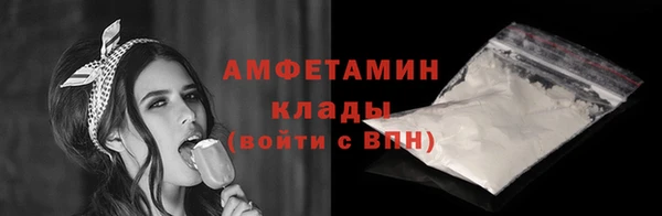 амф Бородино