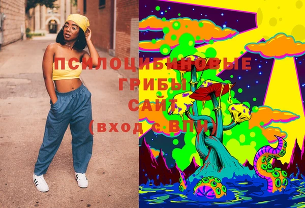 бошки Бронницы