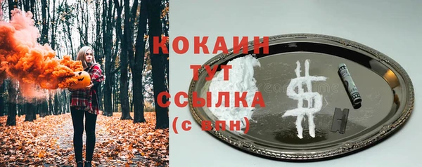 бошки Бронницы